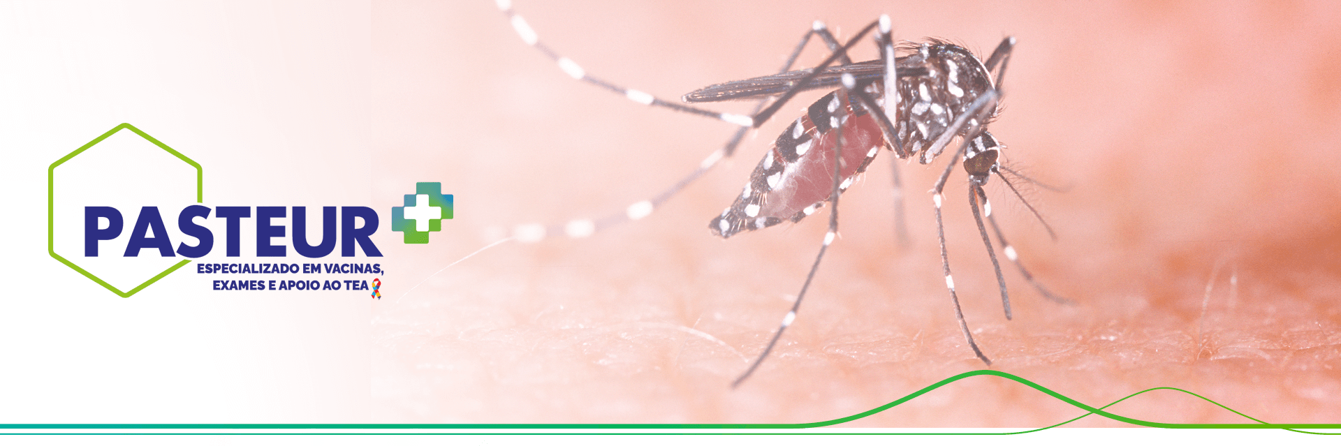 Conhecendo mais sobre a dengue: Um panorama atual da doença no Brasil
