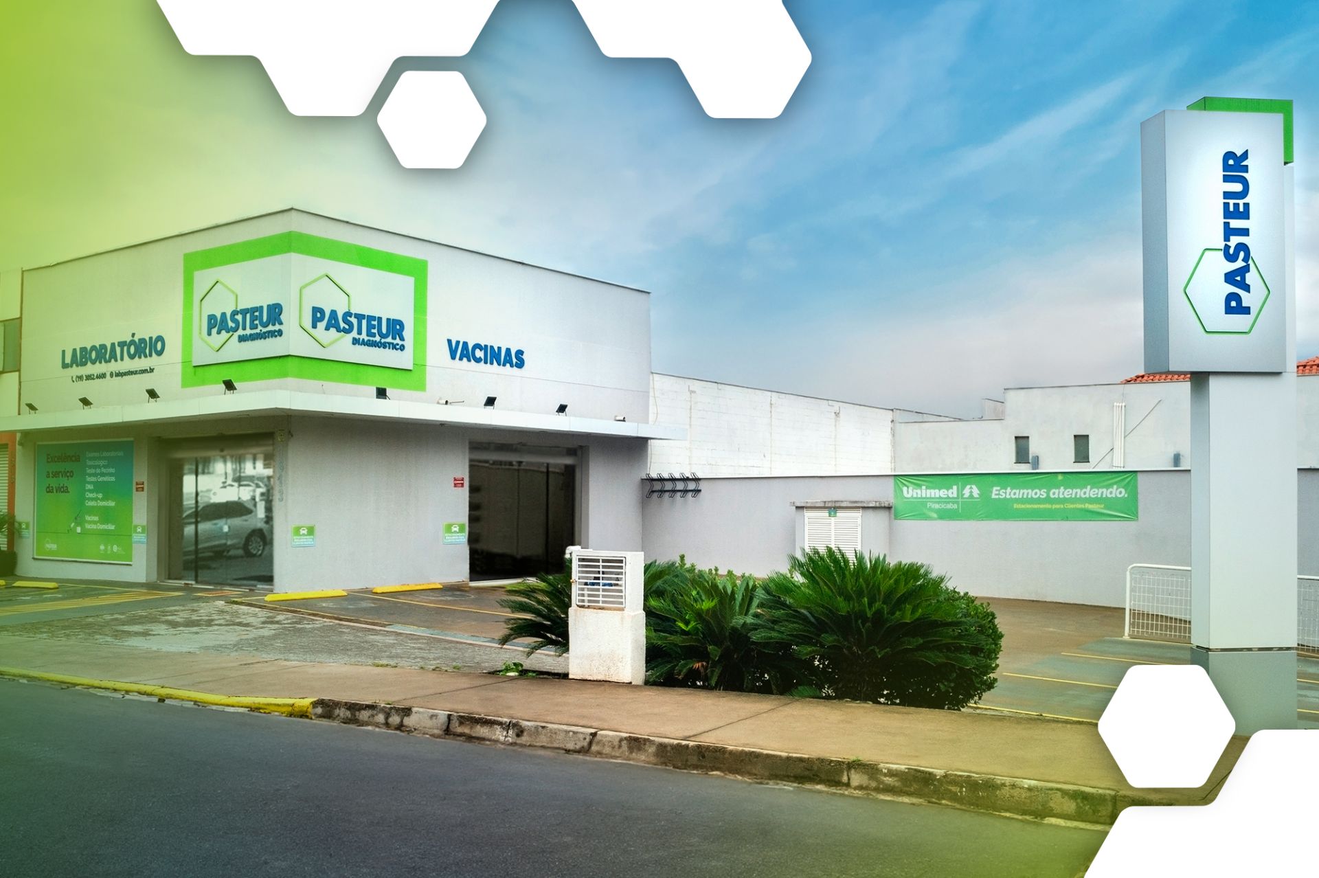 Unidades especializadas